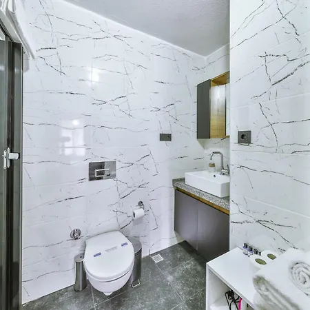 Peaceful Near Galata 公寓 伊斯坦布尔