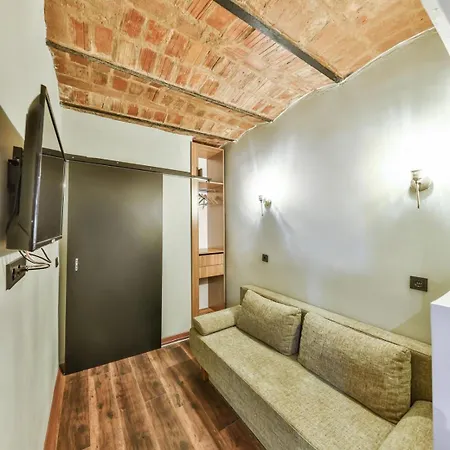 Peaceful Near Galata 公寓 伊斯坦布尔